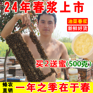 24年油菜春浆 蜂农直销蜂王浆纯正天然正品新鲜蜂皇浆500g买2送蜜