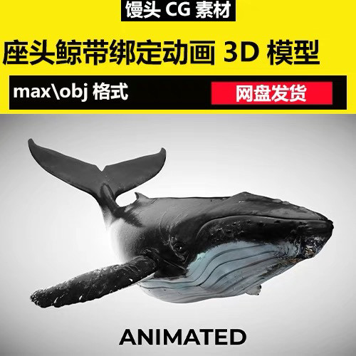 3dmax影视级座头鲸带绑定动画3d模型鲸鱼海洋动物 哺乳须鲸海怪