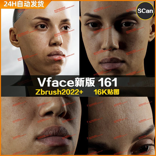 XYZ/Vface新版含ZBrush写实高清扫描模型头部16K皮肤贴图Abeba161