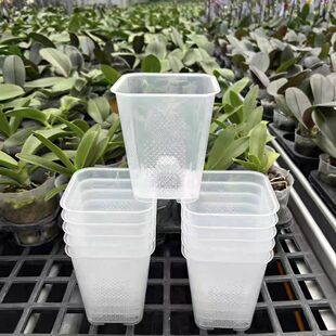 蝴蝶兰铁皮石斛兰专用花盆控根盆防烂根透气盆