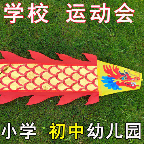 舞龙彩带健身甩龙龙旗幼儿舞龙表演道具烫金龙飘带中小学生舞龙