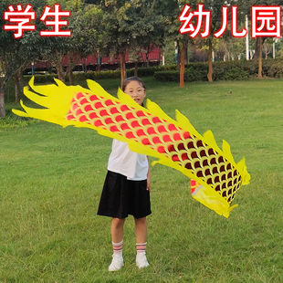 舞龙彩带健身甩龙龙旗幼儿舞龙表演道具烫金龙飘带中小学生舞龙