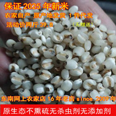 明清贡品金沙薏米仁新鲜香糯国家保护产地直发1000g 新货 包邮