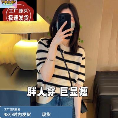 微胖遮肉显瘦条纹短袖针织T恤女大码春秋胖mm镂空内搭打底衫上衣