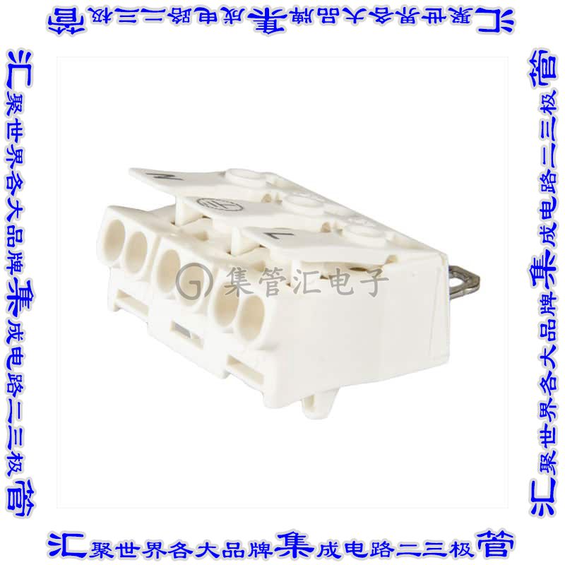 LK 980-01 RZ/ 3 SK BD N PE L 接插件连接器CONN LUMINAIRE 3POL