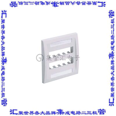 CFPE10EI-2GY 接插件连接器FACEPLATE, 10 PORT, DOUBLE GANG,