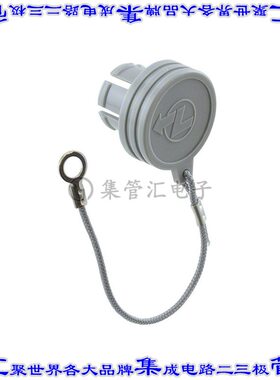 BRA.2B.200.PCSG 连接器配件 盖帽（护盖）,堵头