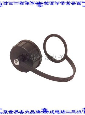 CAP-WPRJ 连接器配件 帽盖