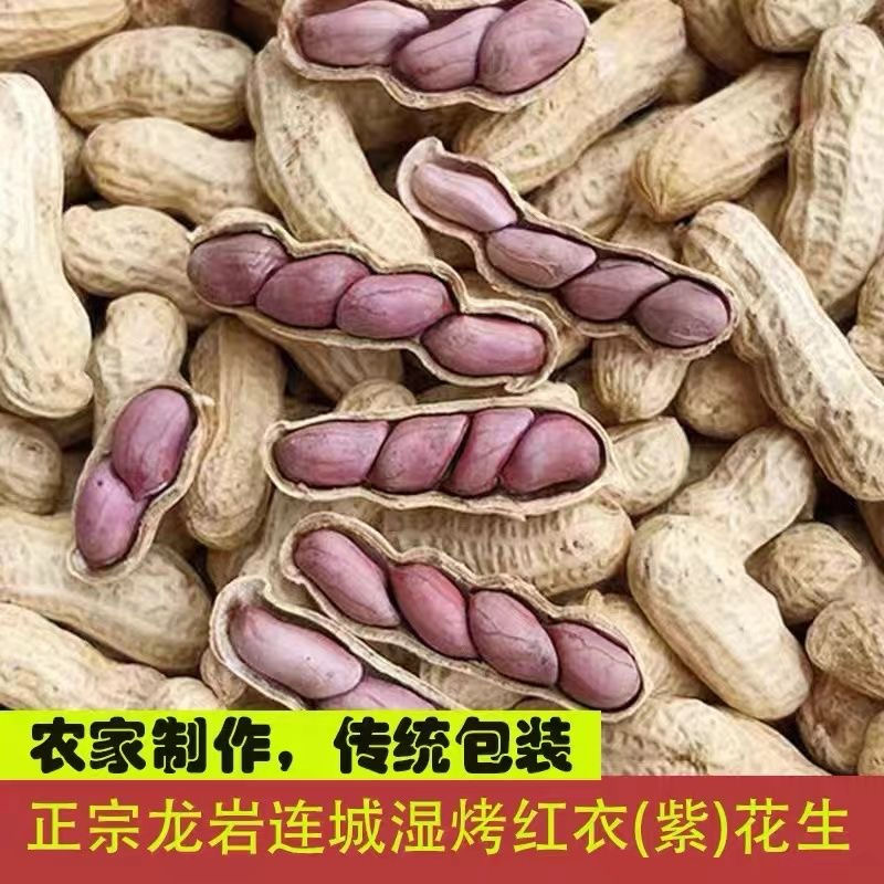 龙岩连城红衣湿烤花生水煮五香脆酥咸干农家红皮花生年货坚果小吃