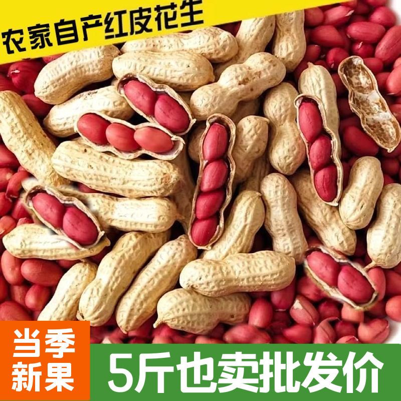 2023新鲜红皮花生农家炒货带壳熟花生自种晒干原味小4粒花生炒熟