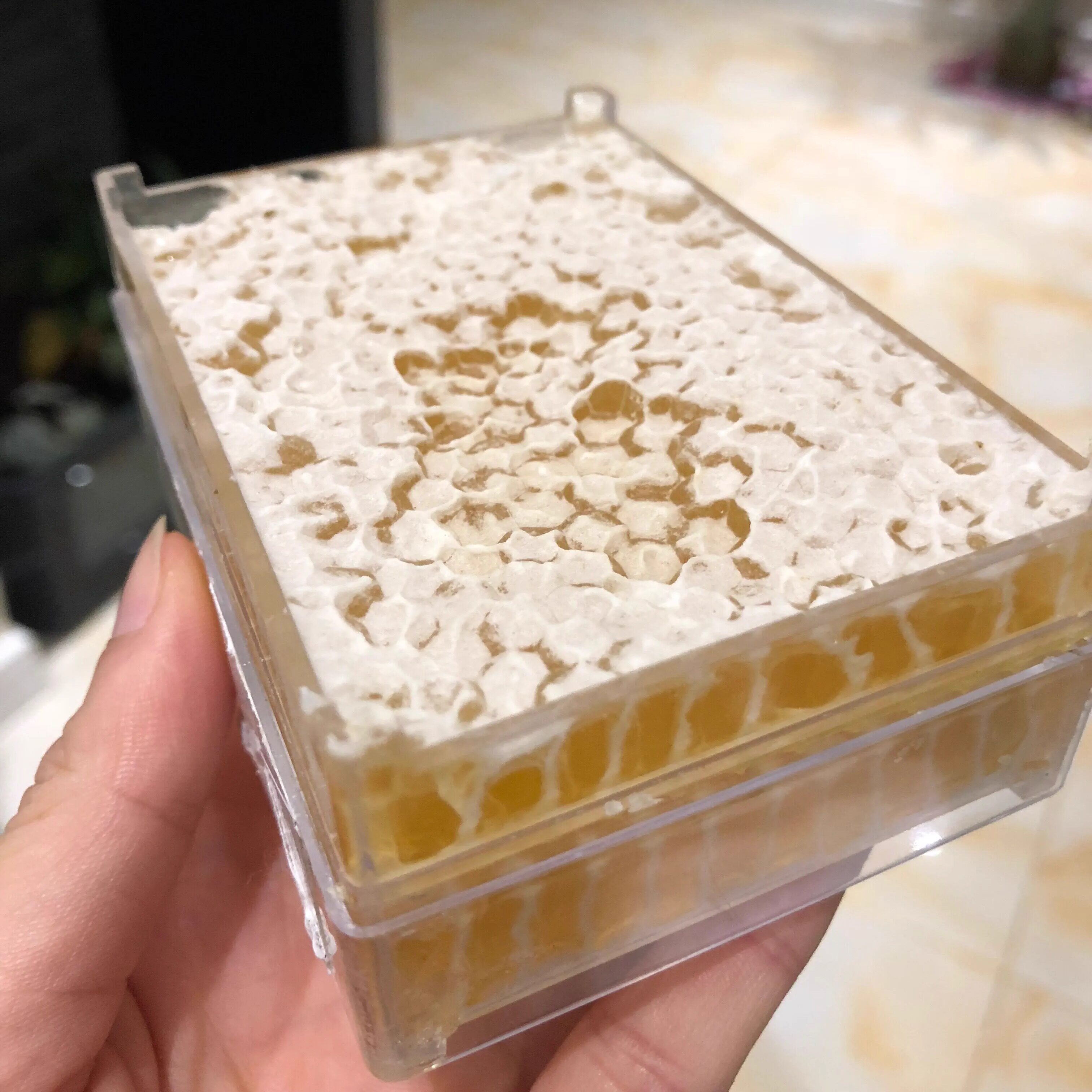 椴树巢蜜 非百花巢蜜 占花东北黑蜂 蜂蜜 蜂巢蜜250g大部地区包邮