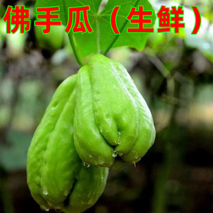 佛手瓜新鲜生采福建漳州洋瓜丰收瓜洋丝瓜倭瓜寿瓜农蔬菜5斤包邮
