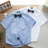 2026儿童学生演出服棉质半袖 学院风～夏季 衬衫 男童棉短袖 衬衣 薄款