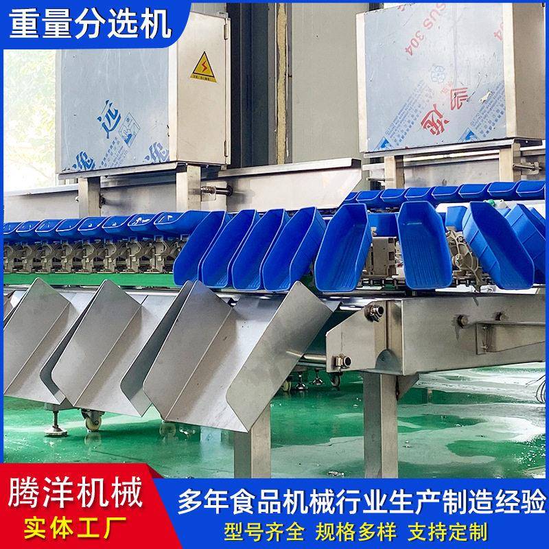 专注盒式重量分选机水果农产品大小称重分级分选设备