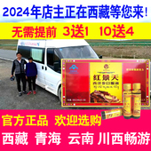 3送1 明禾火西藏红景天西洋参口服液自驾游抗高原反应