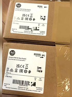 2198-P031 罗克韦尔 原装伺服PLC现货 议价 议价