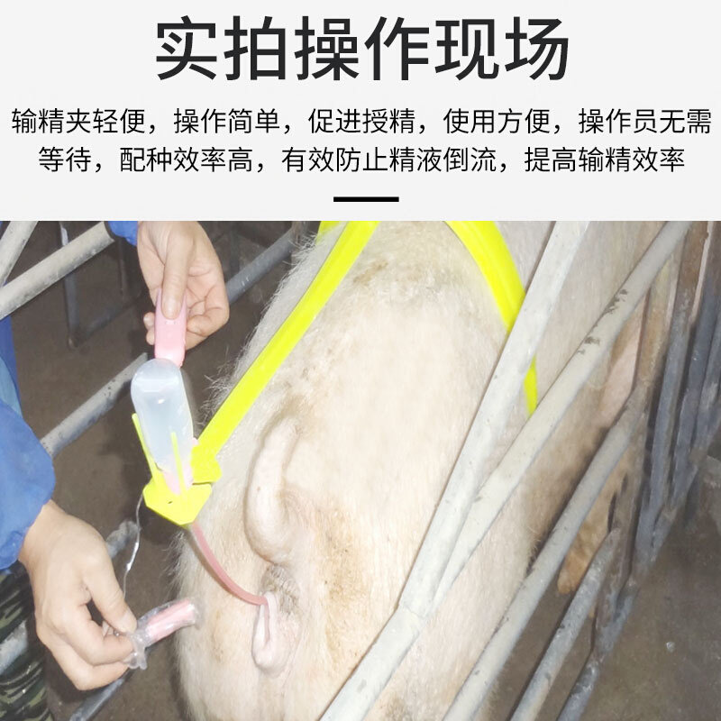 猪用输精夹 输精支架母猪授精夹猪背夹猪人工授精设备辅助圈包