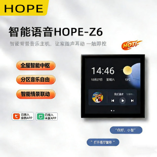向往Z6智能背景音乐机系统套装吸顶喇叭控制情景联动wifi
