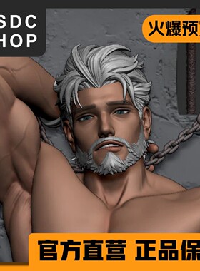 先行赠送替换头雕【DSDC SHOP】 伊戈尔将军 Auro_studio 手办 GK