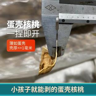 新品 阿康185新疆纸皮核桃新鲜2023新货阿克苏薄皮蛋壳手剥熟核桃