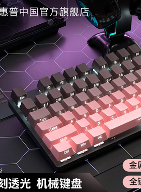 HP惠普有线机械键盘渐变透光电竞游戏办公男女生通用台式键鼠套装
