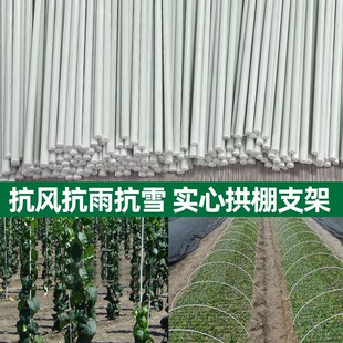 热销农用小拱棚支架拱杆有弹性温棚实心玻璃纤维杆玻璃钢长条大小