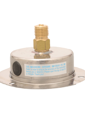 热销YN60ZT轴向带边耐震压力表0-1.6/2.5/40Mpa水压油压气压液压