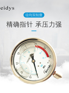 热销压力表YN100不锈钢耐震压力表测水压气压通用0-1.6/100Mpa多