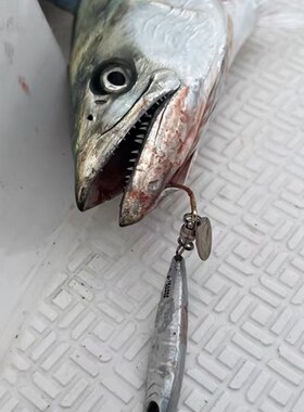 热销shout铁板带亮片钩铁板抽技铁板鲅鱼铁板马鲛铁板亮片钩铁板