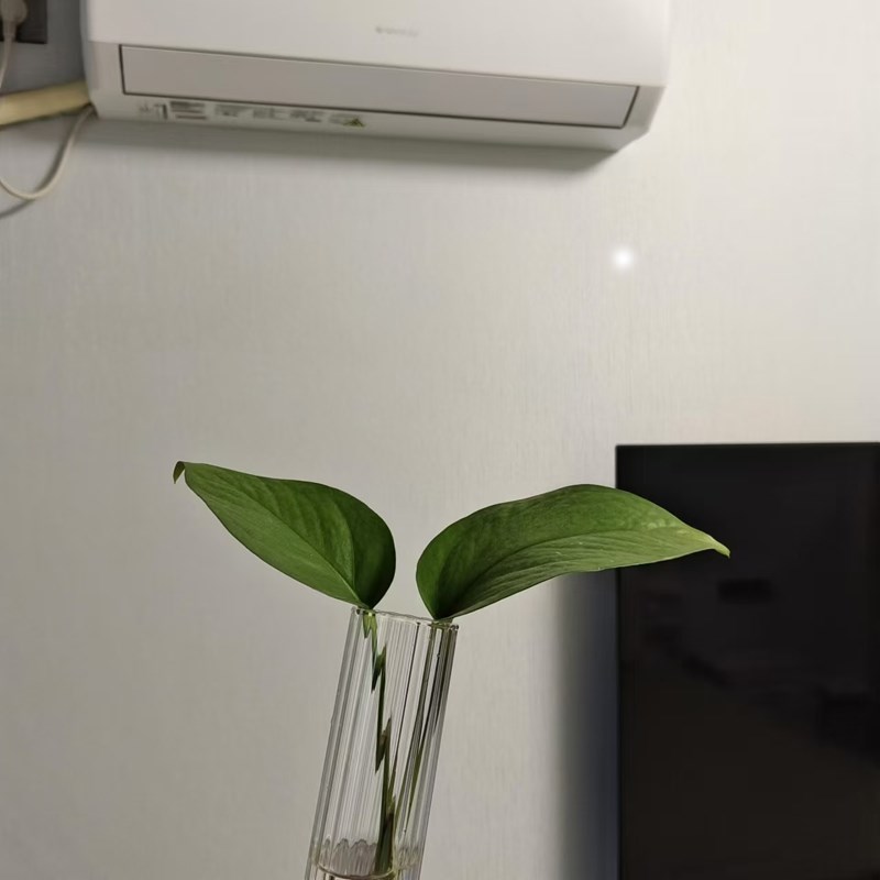 热销条纹试管花瓶竖纹玻璃水培花瓶迷你小花瓶子水养植物细长水培