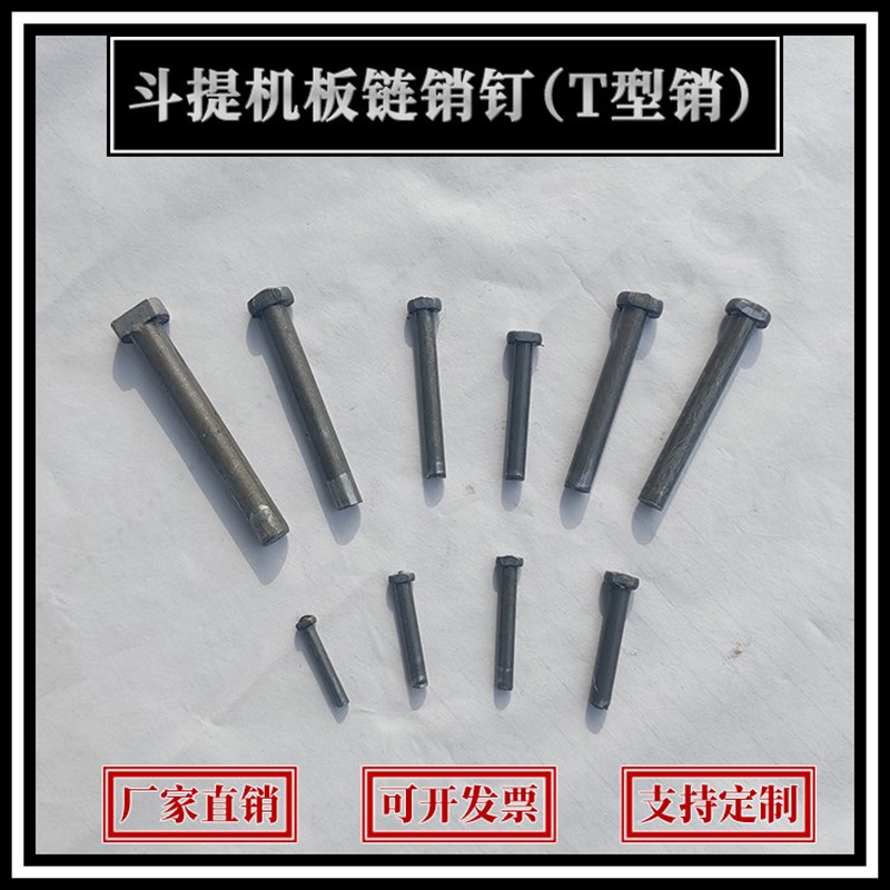 热销NE100斗提机链条销钉T型销钉矿山机械板链配件销轴铆钉直径5
