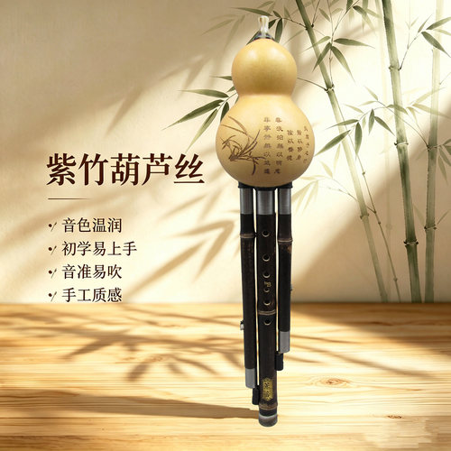 葫芦丝紫竹乐器fg降bc学生演奏