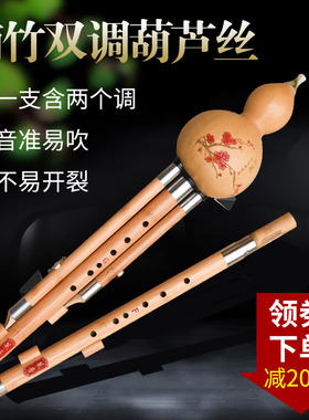 楠竹双调葫芦丝F加G降B加C调音准易吹耐用成人演奏专业乐器不易裂