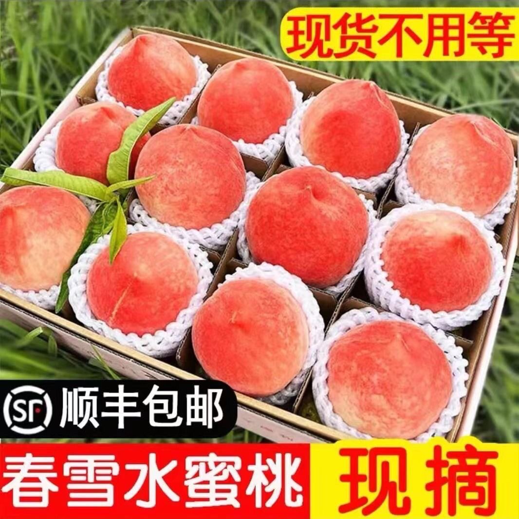 【2026现货】正宗湖北春雪水蜜桃桃子新鲜水果2斤3斤5斤脆软顺丰
