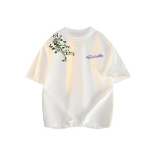 DUKE+DEXTER纯棉男士短袖t恤夏季圆领印花美式高级感白色重磅上衣