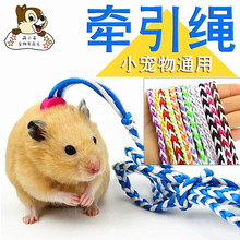 小仓鼠牵引绳兔子荷兰猪龙猫衣服背带式 三线迷你溜绳小宠玩具链子