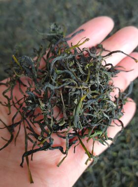 绿茶新货临安高山炒制毛峰250克
