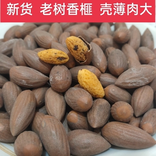 新货香榧子绍兴诸暨枫桥老树香榧壳薄肉香大颗坚果特产