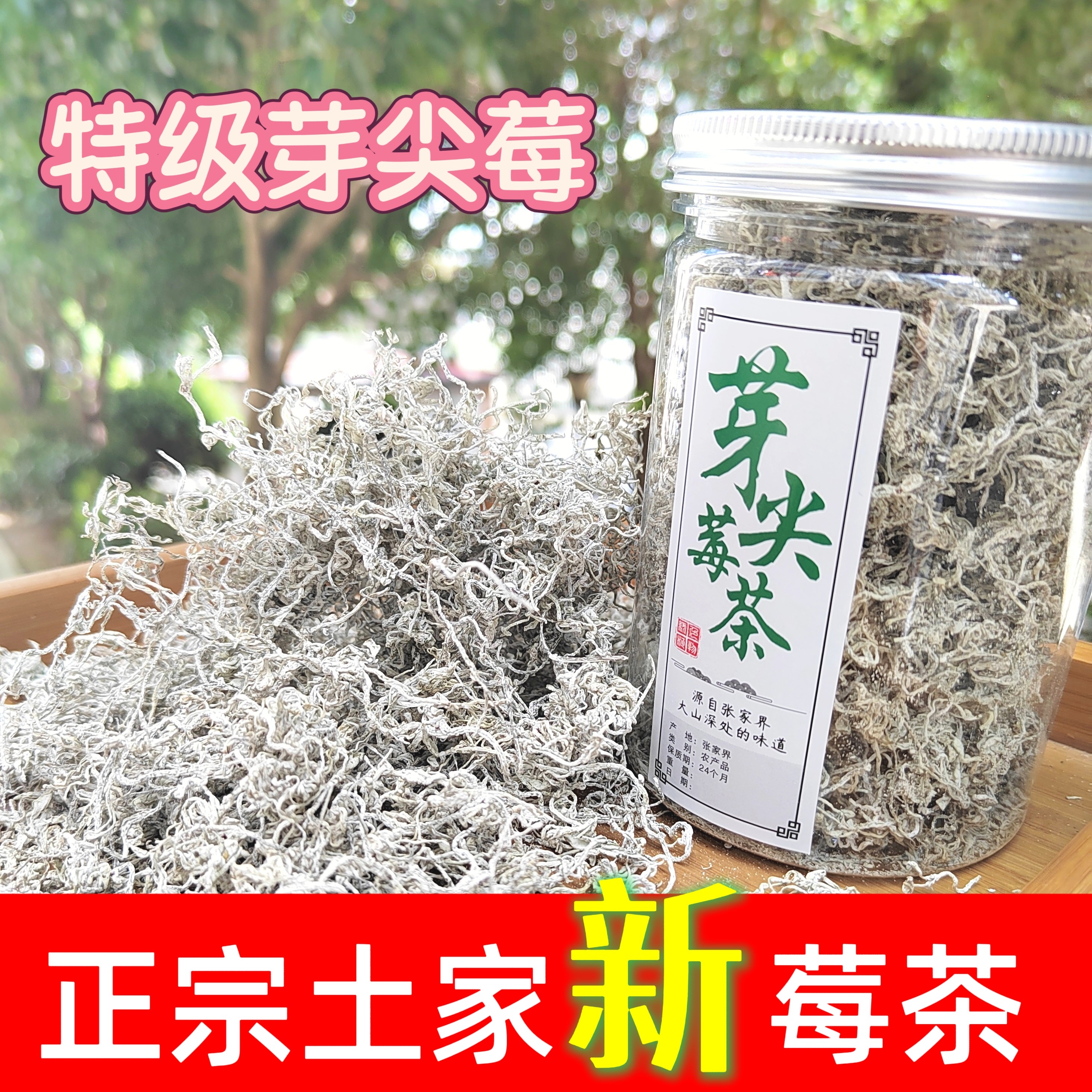 莓茶特级张家界野生芽尖莓2025年永顺新茶藤茶莓茶长寿茶湖南罐装