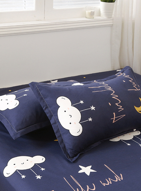 枕套包邮一对简约学生宿舍48 74cm床上夏季韩式日式2只装成人单人