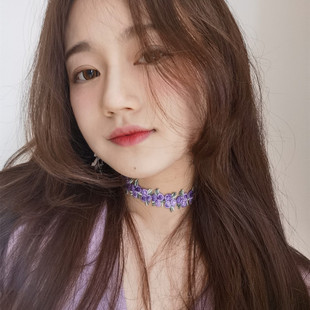 ins复古vintage小花清新甜美森女公主风紫色港风项圈choker锁骨链