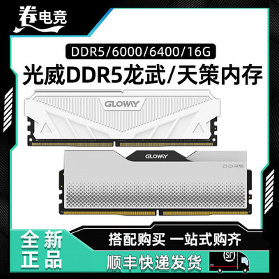 光威天策DDR532G台式机内存条