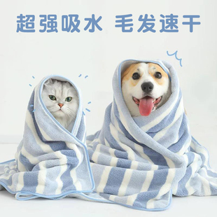 签到！哈波猫宠物洗澡吸水速干毛巾