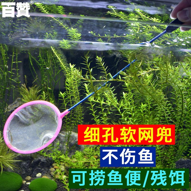 鱼缸鱼捞网家用渔捞水族捞鱼网手抄网金鱼观赏鱼大号圆方形小网捞_虎窝淘
