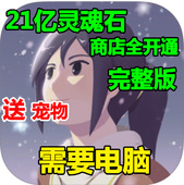 商店全开通 灵魂之桥 完整版 宠物 21亿无限灵魂石 OPUS