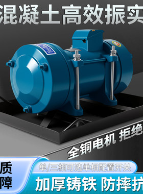 水泥混凝土平板振动器振动泵