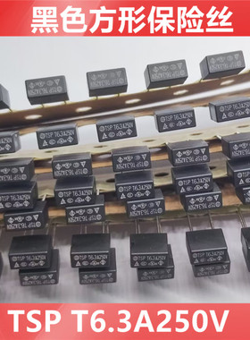 方形保险丝 TSP T6.3A250V 全新原装  慢断 间距5.08mm黑色保险丝