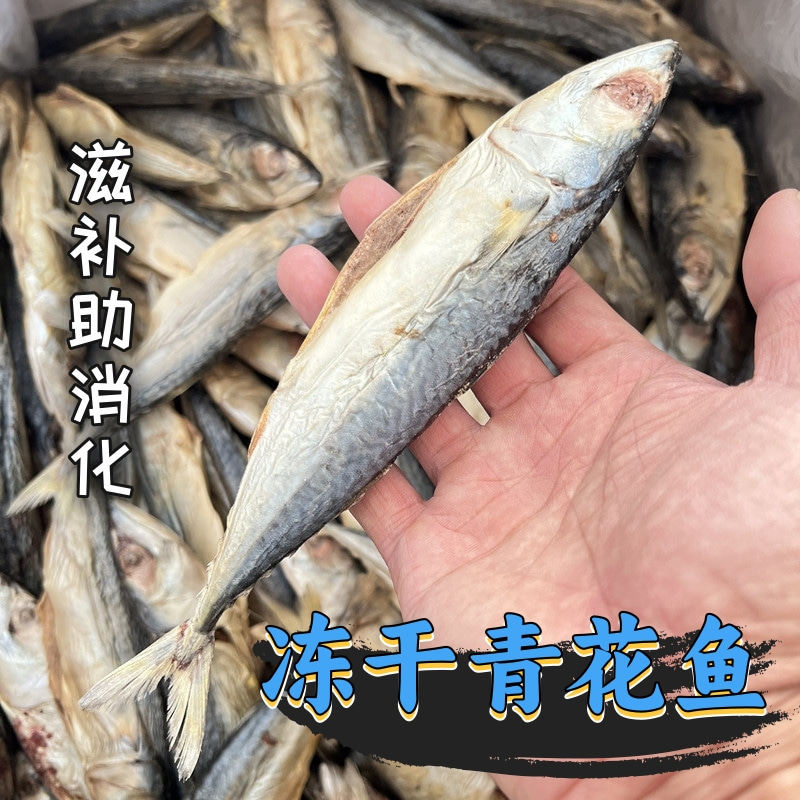 冻干青花鱼狗零食宠物猫鱼干增肥滋补强壮益肠胃助消化,宠物/宠物食品及用品,狗冻干零食,淘宝优惠券,粉丝福利购,淘宝优惠卷