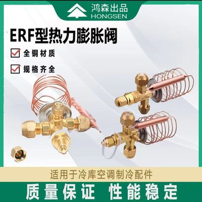 R22外平衡热力膨胀阀制冷机组