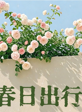 见3/10 男女童春夏运动风连帽拼色外套 120-170轻薄透气防晒衣